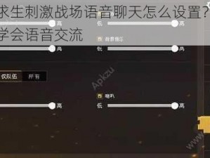 绝地求生刺激战场语音聊天怎么设置？教你快速学会语音交流