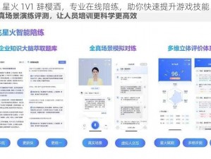 星火 1V1 辞樱酒，专业在线陪练，助你快速提升游戏技能