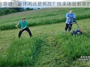 《来割草呀：是休闲还是挑战？快来体验割草的乐趣》