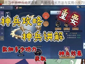 天涯明月刀手游神兵培养攻略：策略性成长方法与实用小技巧详解