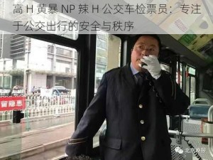 高 H 黄暴 NP 辣 H 公交车检票员：专注于公交出行的安全与秩序