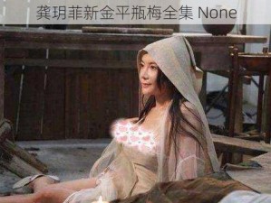 龚玥菲新金平瓶梅全集 None