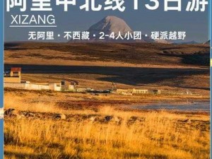 无人区码一码二码三码 ww：高品质、高性价比，让你的旅行更安心