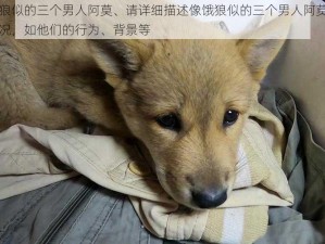 像饿狼似的三个男人阿莫、请详细描述像饿狼似的三个男人阿莫的相关情况，如他们的行为、背景等