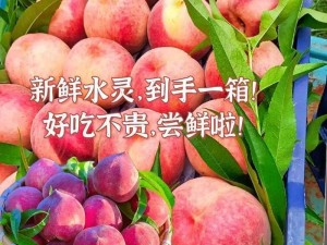 水蜜桃美国的口感如何？怎样挑选新鲜的水蜜桃美国？