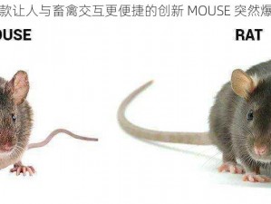 一款让人与畜禽交互更便捷的创新 MOUSE 突然爆火