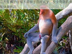 二人生猴子全程不盖被子图片大全：安全有效的生殖健康用品