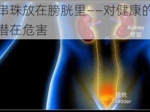 串珠放在膀胱里——对健康的潜在危害