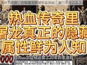 热血传奇手机版：白银屠龙属性图鉴揭秘，宝刀未老还是王者归来？