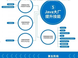 JAVAPARSER 教师 HD 为何新增多条线路？这些线路能为用户带来什么？