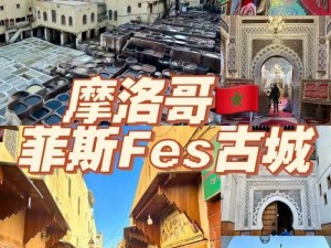 菲斯图文攻略：探索神秘古城的必备指南