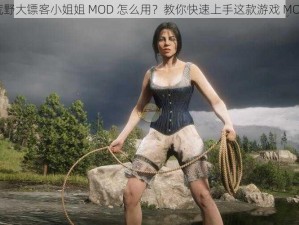 荒野大镖客小姐姐 MOD 怎么用？教你快速上手这款游戏 MOD