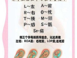 怀孕林道韵母攻略怎么做？