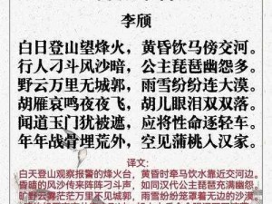 《体验骑砍光明与黑暗，挥舞唐刀书写历史》