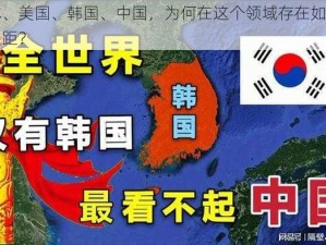 日本、美国、韩国、中国，为何在这个领域存在如此大的差距？