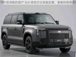 497799 欧洲版的国产 SUV 高性价比幸能逆袭，智能科技领先同级