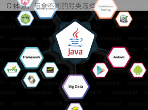 一款创新的 JAVA 应用，提供全新视角的 VIDEO 体验，与众不同的另类选择