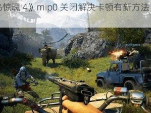 《孤岛惊魂 4》mip0 关闭解决卡顿有新方法，实测有效