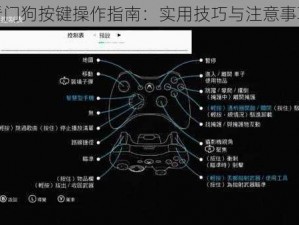 看门狗按键操作指南：实用技巧与注意事项