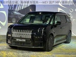 体验舒适空间，畅享豪华驾乘——WEY 国产 MPV 最新款评测