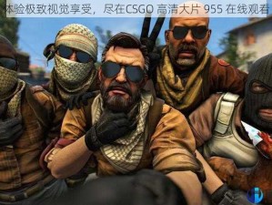 体验极致视觉享受，尽在CSGO 高清大片 955 在线观看