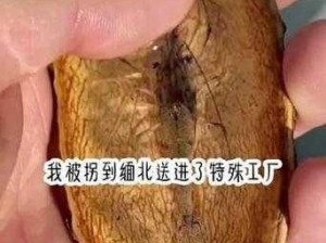 为什么活体肉莲图片照片博物馆大全如此神秘？如何找到活体肉莲图片照片博物馆大全？