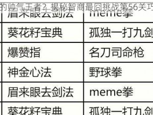 谁才是真正的帅气王者？揭秘智商最囧挑战第56关巧妙攻略秘籍