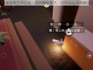 《走进死亡中心负一层的神秘笼子：闪闪 bug 视频解说》