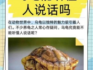 神都夜行录老乌龟角色深度解析：能力价值及培养建议全面探讨