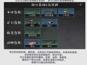 明日之后骨头获取攻略：全面解析骨头获得方法与途径介绍