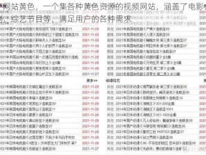 国产网站黄色，一个集各种黄色资源的视频网站，涵盖了电影、电视剧、综艺节目等，满足用户的各种需求