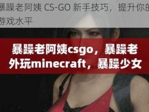 暴躁老阿姨 CS-GO 新手技巧，提升你的游戏水平