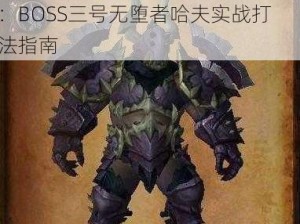 魔兽世界伤逝剧场无堕者哈夫攻略：BOSS三号无堕者哈夫实战打法指南