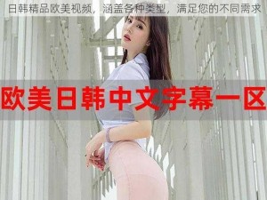 日韩精品欧美视频，涵盖各种类型，满足您的不同需求