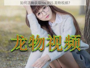 如何正确获取YW.855.龙物视频？