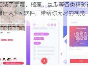 一款汇聚了草莓、榴莲、丝瓜等各类精彩视频资源的绿巨人 ios 软件，带给你无尽的视觉享受