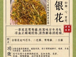 深入浅出解析 TXl 金银花产品的功能和特点