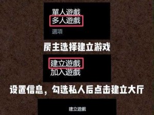 双人联机游戏安装配置指南：从下载到设置一步到位教程