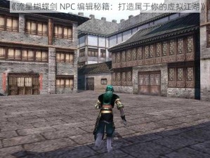 《流星蝴蝶剑 NPC 编辑秘籍：打造属于你的虚拟江湖》