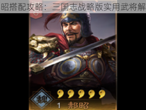 郝昭搭配攻略：三国志战略版实用武将解析