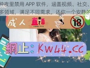 100 种夜里禁用 APP 软件，涵盖视频、社交、游戏等多领域，满足不同需求，还你一个安静的夜晚