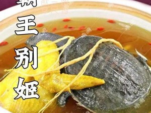 霸王别姬钟爱美食，揭秘其独特口味偏好与烹饪之道