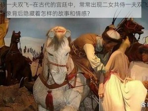 二女共侍一夫双飞—在古代的宫廷中，常常出现二女共侍一夫双飞的现象，这种现象背后隐藏着怎样的故事和情感？