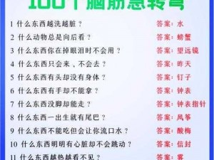 史上九重迷思之最烧脑挑战关卡9答案揭秘：如何突破第九关的思维困境？