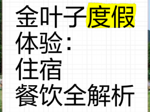 探秘金叶子大法：暴走大侠金叶子全攻略揭秘，一战即得大量金叶子