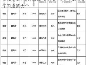 猎魂觉醒：胡林的职业符文 NPC 技能符文学习攻略大全