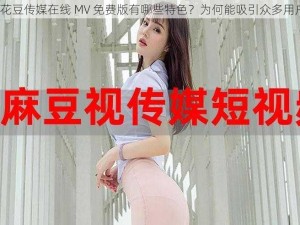 麻花豆传媒在线 MV 免费版有哪些特色？为何能吸引众多用户？