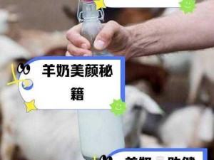 羊其实和女人差别不大，喝羊奶等于喝女人的奶