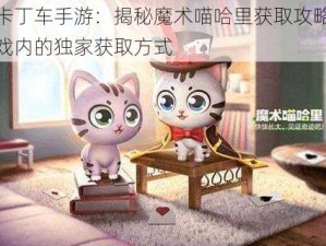 跑跑卡丁车手游：揭秘魔术喵哈里获取攻略，掌握游戏内的独家获取方式