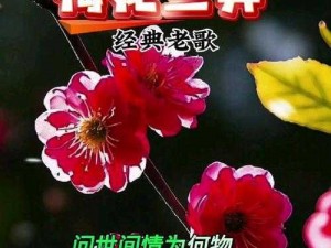 梅开二度梅花三弄智能语音助手，助你轻松沟通